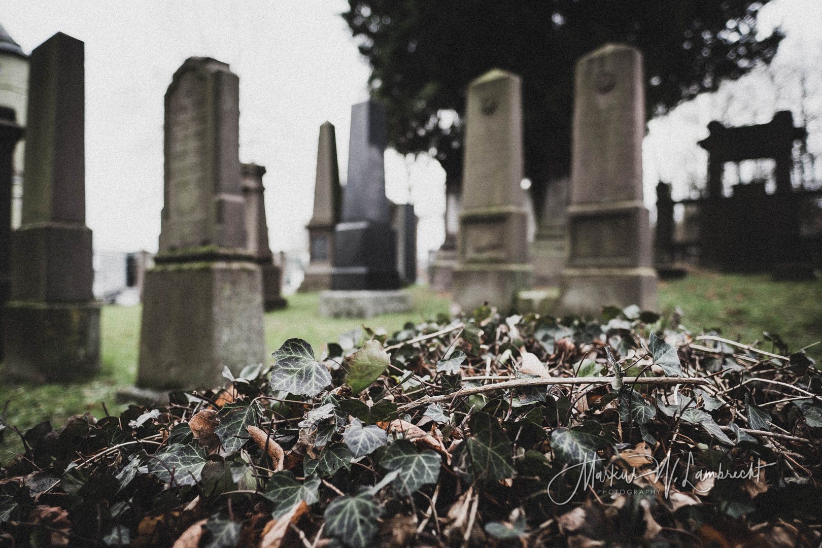 Stadtoldendorf, Jüdischer Friedhof